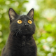 Imagen: Marykit / Shutterstock